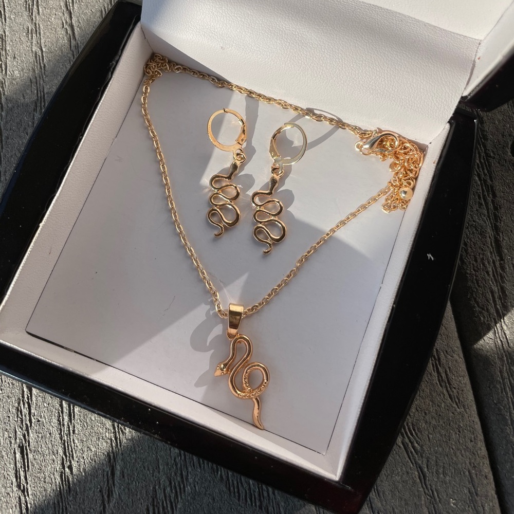 Snake Jewelry Set Necklace+earrings (includes box)